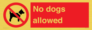 No dogs allowed